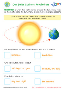 Types of Flowering Plants Worksheet